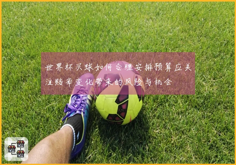 世界杯买球如何合理安排预算应关注赔率变化带来的风险与机会